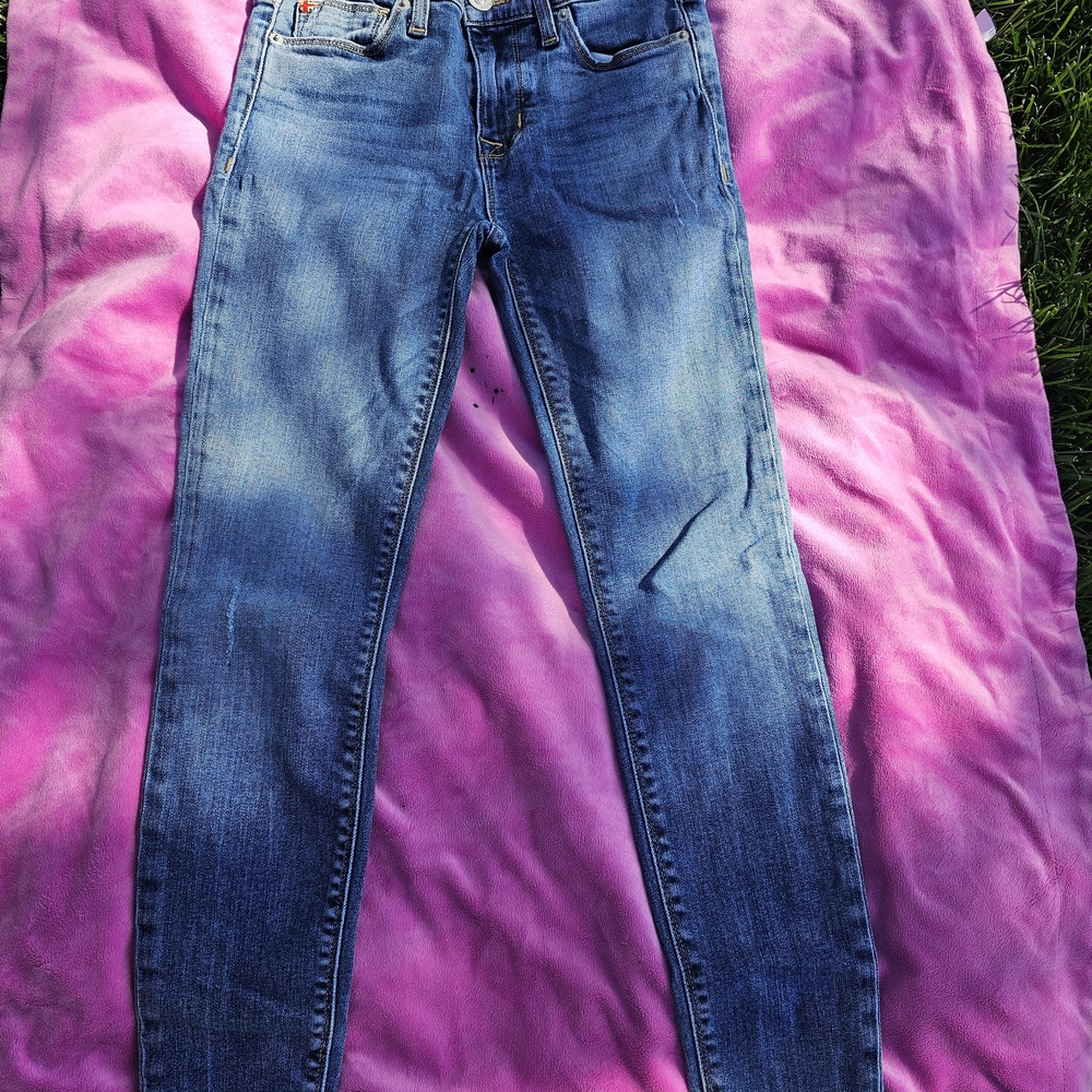 Hudson Jeans Women's Blue Skinny Jeans